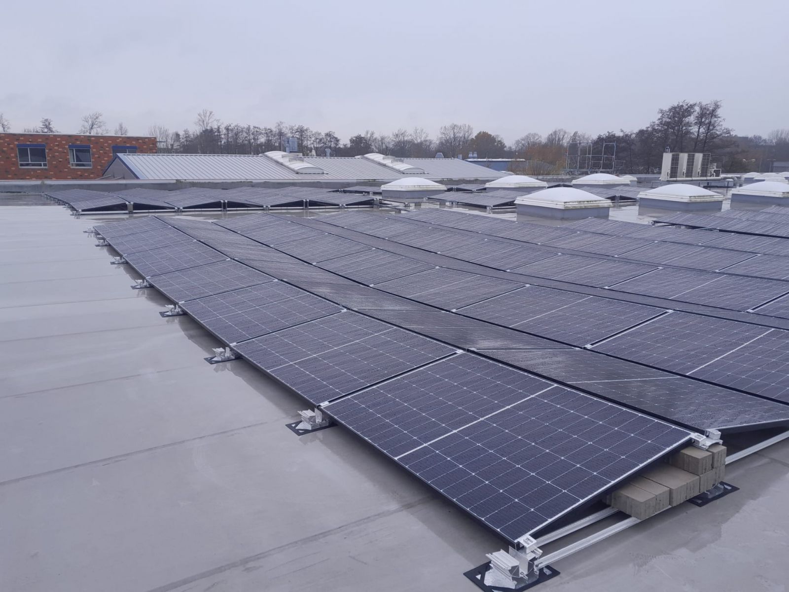 Buschmann Werner Automobile 2