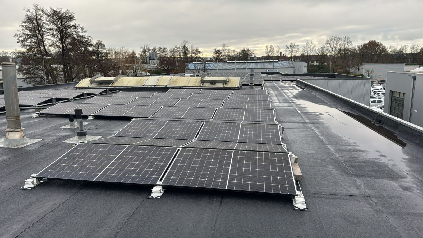 Referenz Buschmann Autohaus Burghard 3